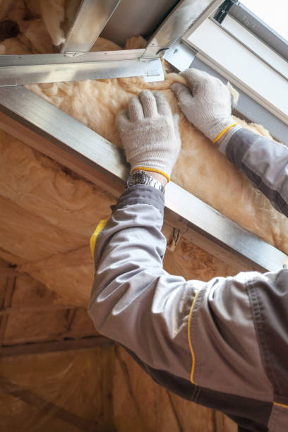 Best Insulation Maintenance and Repair in Santa Fe, TX