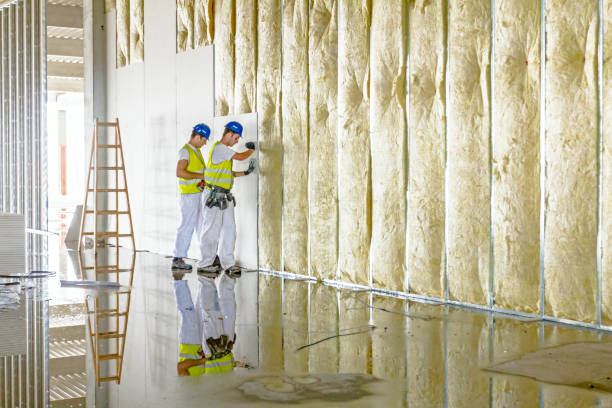 Best Eco-Friendly Insulation in Santa Fe, TX